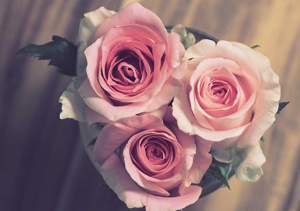 Anniversary Gift Ideas for Couples: Shared Experiences and Memories